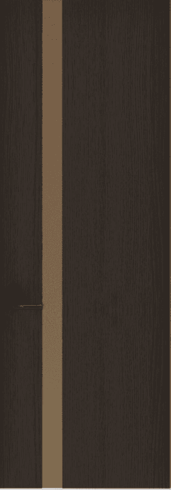 Modern Door 6